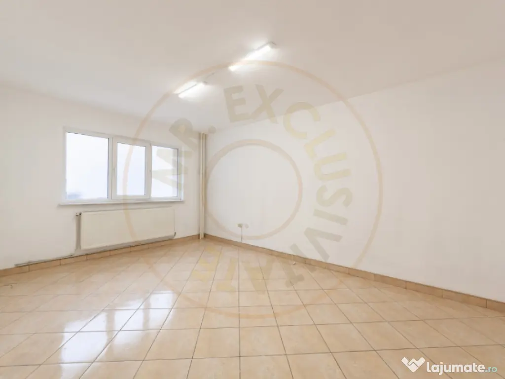 Spatiu Comercial 50 mp, Trafic Intens Auto si Pietonal, Vad 