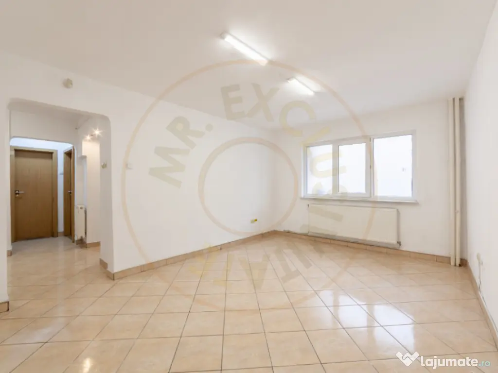 Spatiu Comercial 50 mp, Trafic Intens Auto si Pietonal, Vad 