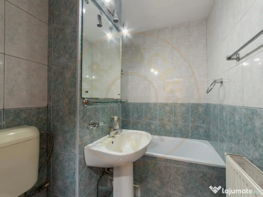 Spatiu Comercial 50 mp, Trafic Intens Auto si Pietonal, Vad 