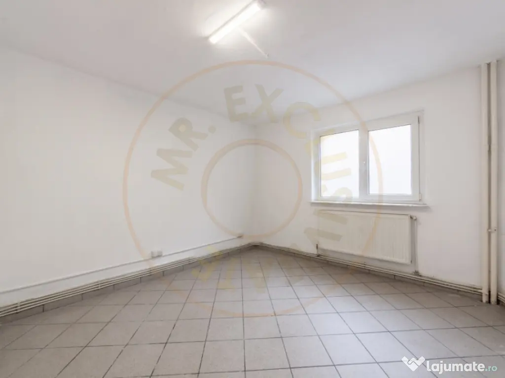 Spatiu Comercial 50 mp, Trafic Intens Auto si Pietonal, Vad 