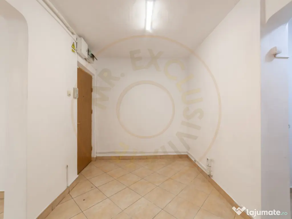 Spatiu Comercial 50 mp, Trafic Intens Auto si Pietonal, Vad 