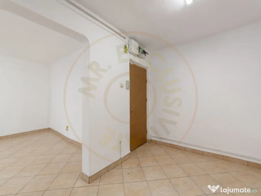 Spatiu Comercial 50 mp, Trafic Intens Auto si Pietonal, Vad 