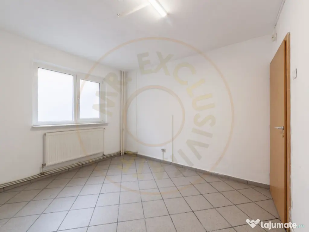 Spatiu Comercial 50 mp, Trafic Intens Auto si Pietonal, Vad 