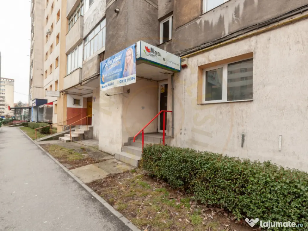 Spatiu Comercial 50 mp, Trafic Intens Auto si Pietonal, Vad 