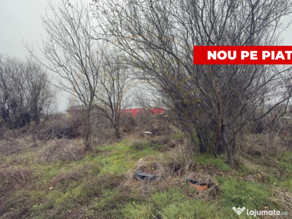Teren de 533 mp - 10 min de Pitesti-Albota Argeș! 