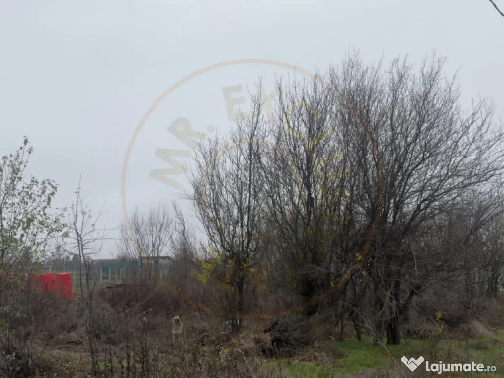 Teren de 533 mp - 10 min de Pitesti-Albota Argeș! 