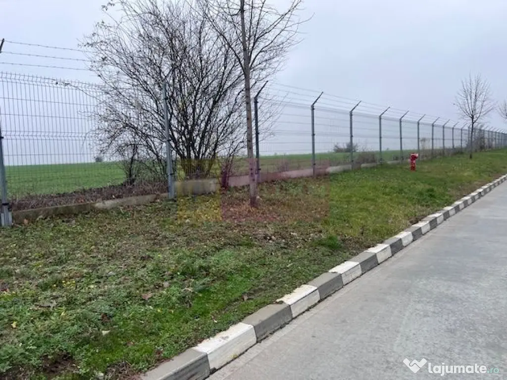 Teren Domnesti- Depozit Altex, Emag. 