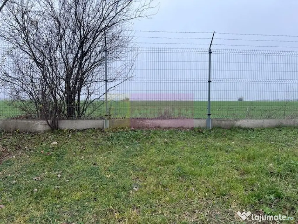 Teren Domnesti- Depozit Altex, Emag. 