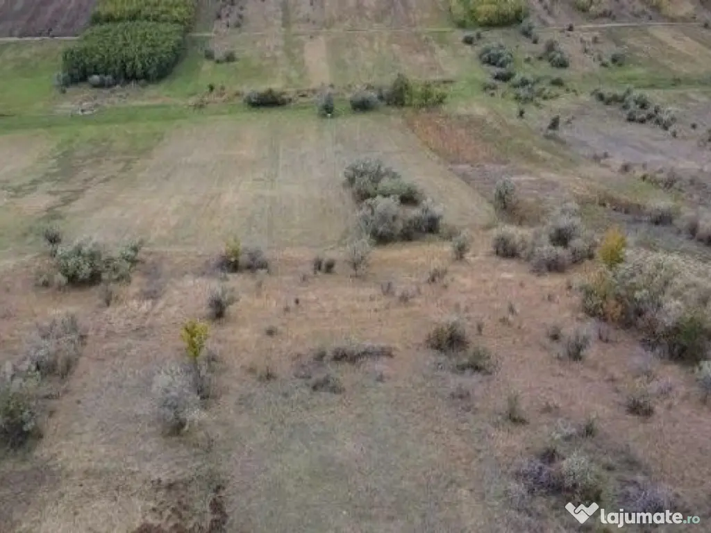 Teren extravilan Perieni, cota parte 6/16 , ID: R2822105 