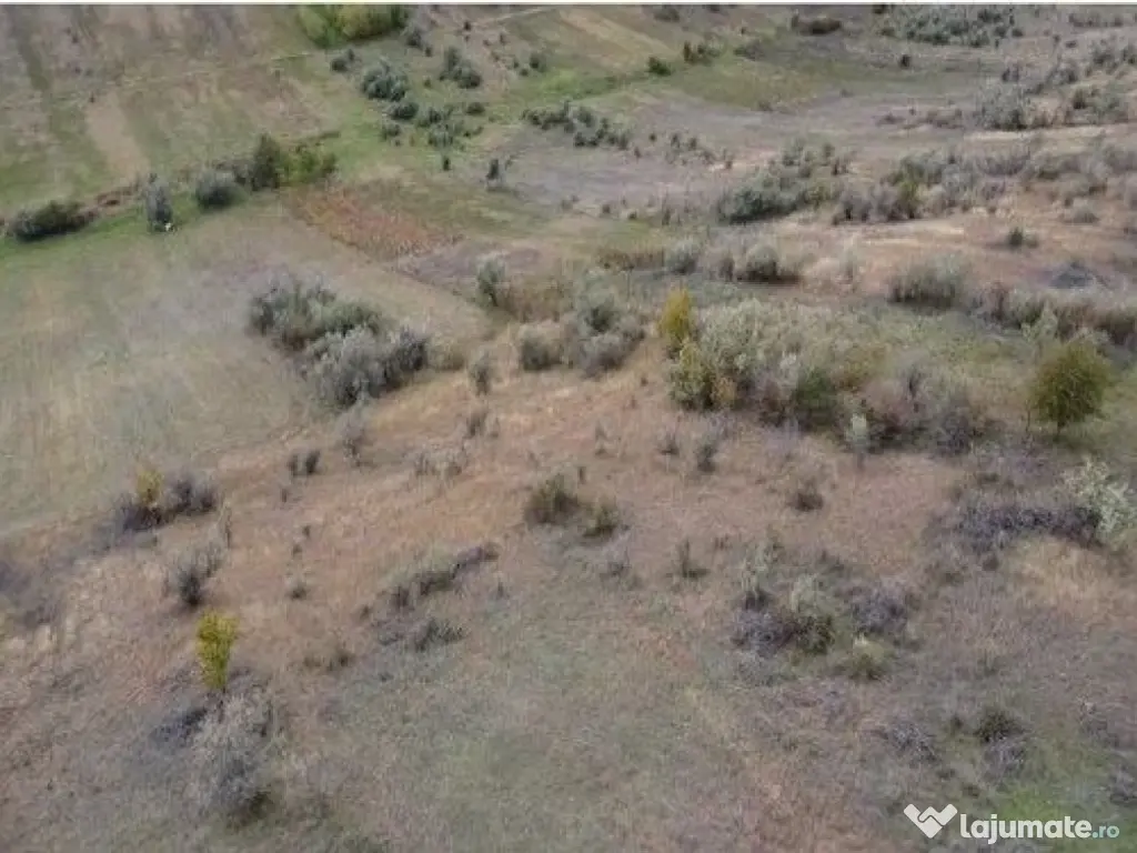 Teren extravilan Perieni, cota parte 6/16 , ID: R2822105 