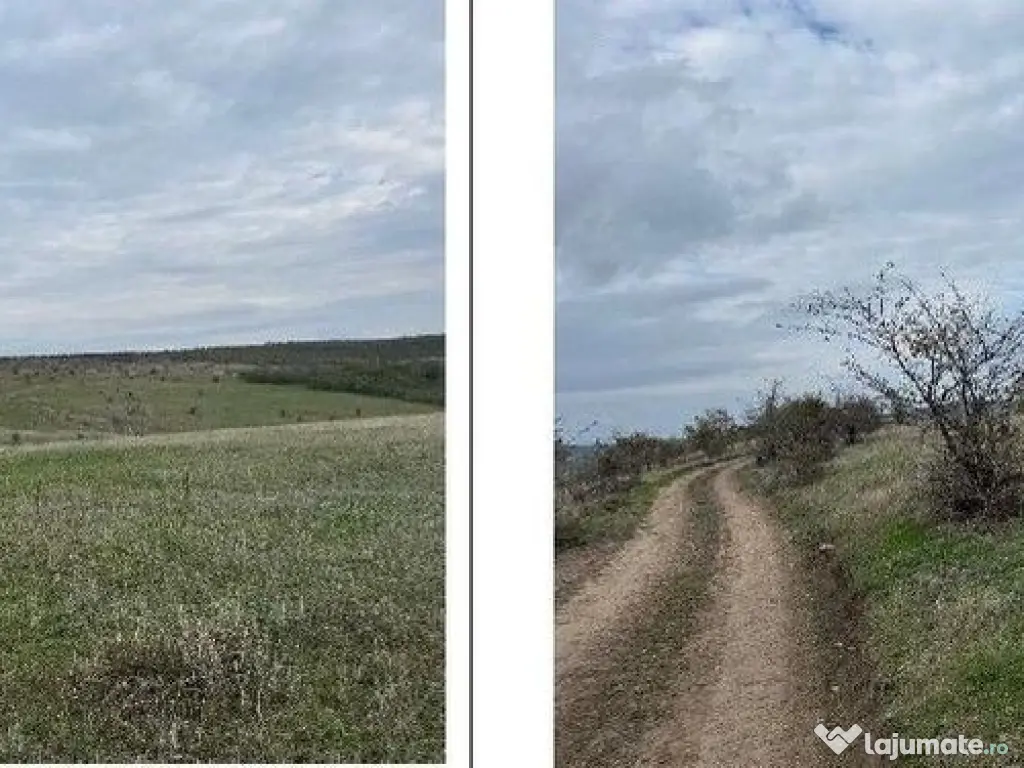 Teren extravilan Perieni, cota parte 6/16 , ID: R2822105 