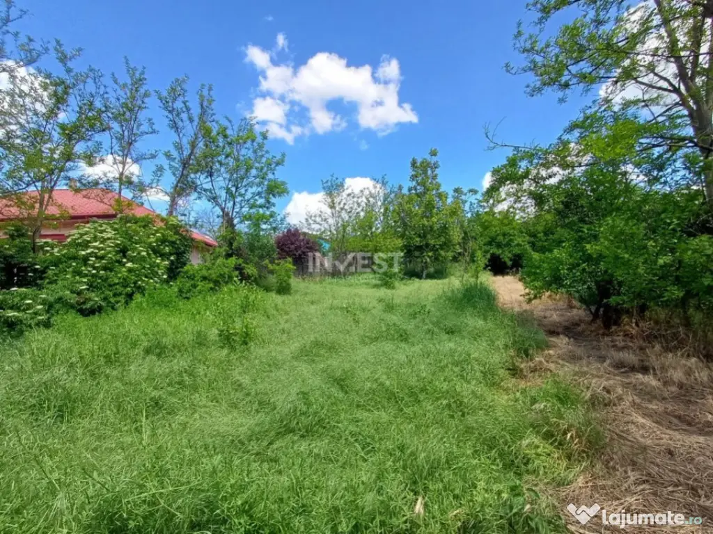 TEREN INTRAVILAN, 602 MP, REDIU