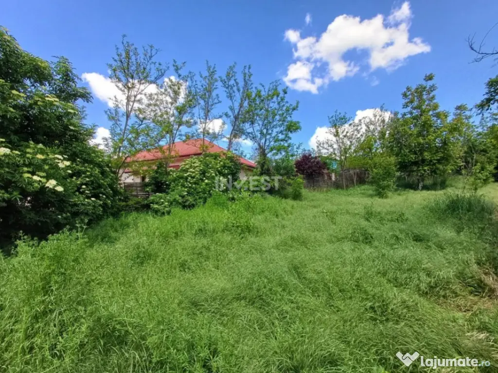 TEREN INTRAVILAN, 602 MP, REDIU