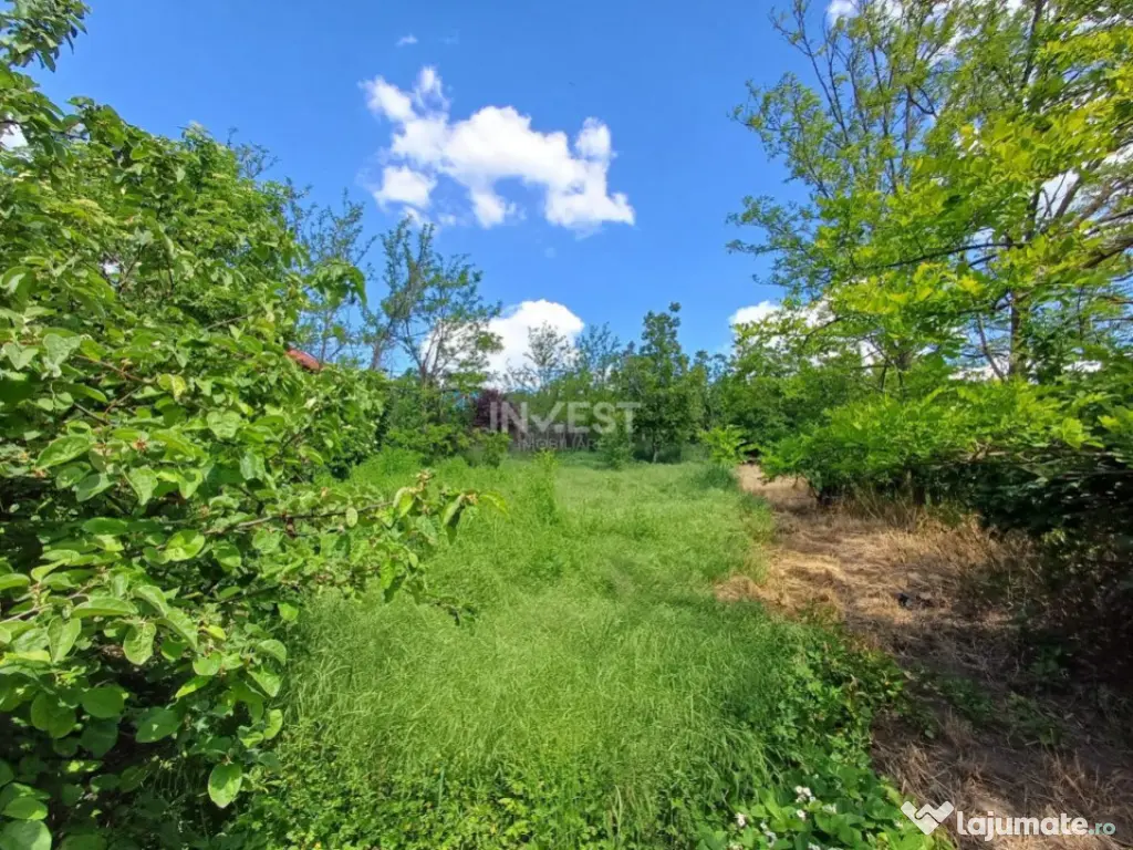 TEREN INTRAVILAN, 602 MP, REDIU