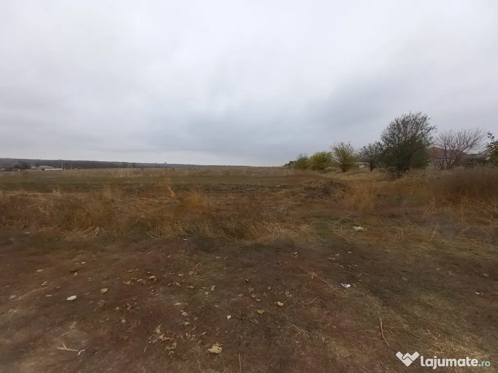 Teren de vanzare in Valu Lui Traian, Cartierul Nou - 403 mp 