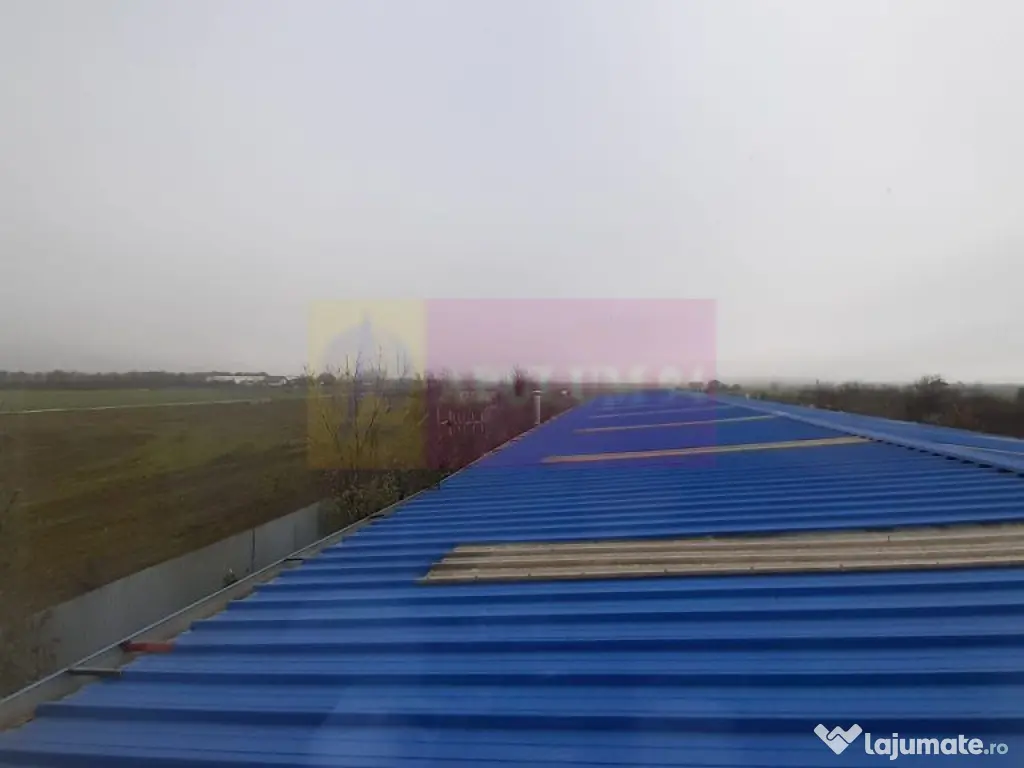 Showroom în Sudul Bucureștiului