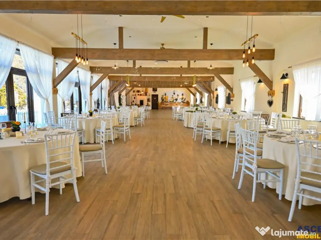 Hotel Bielmann,unicitate si profitabilitate optima in turism 