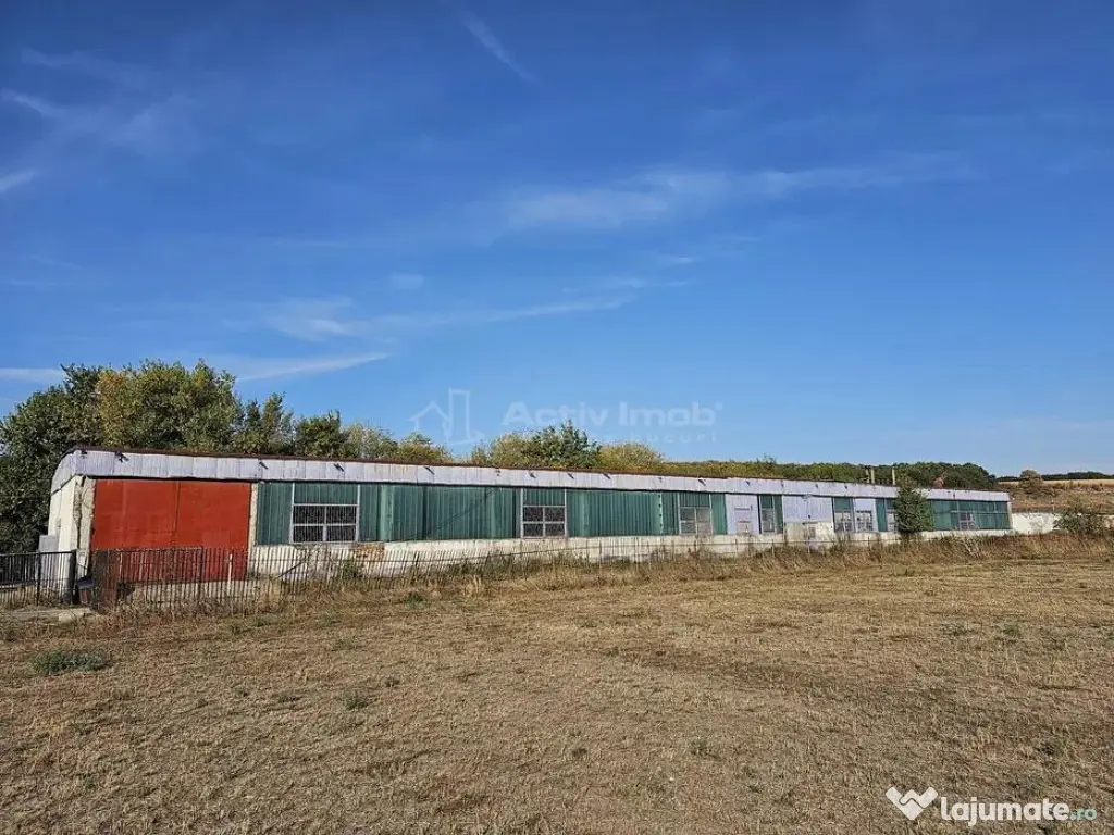 Hala industriala (1000 mp) si teren (4000 mp), Scornicesti, 