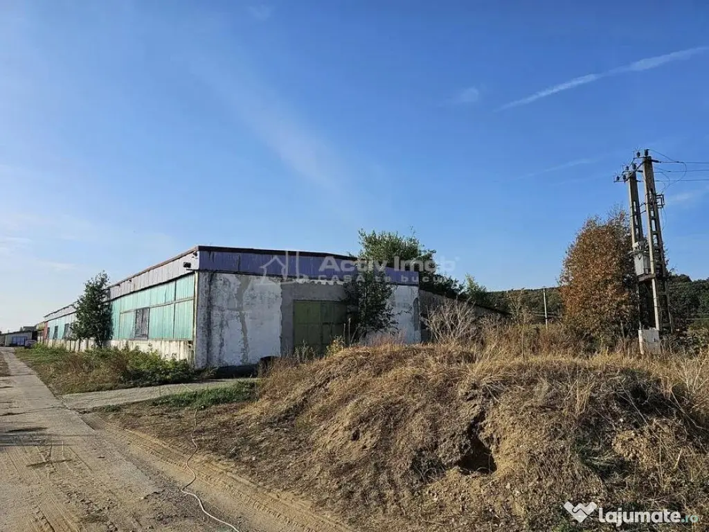 Hala industriala (1000 mp) si teren (4000 mp), Scornicesti, 