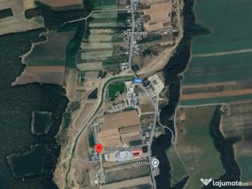 Hala industriala (1000 mp) si teren (4000 mp), Scornicesti, 