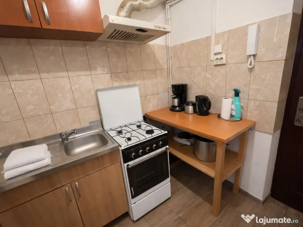 Garsonieră de vânzare Calea Lipovei - Sever Bocu 