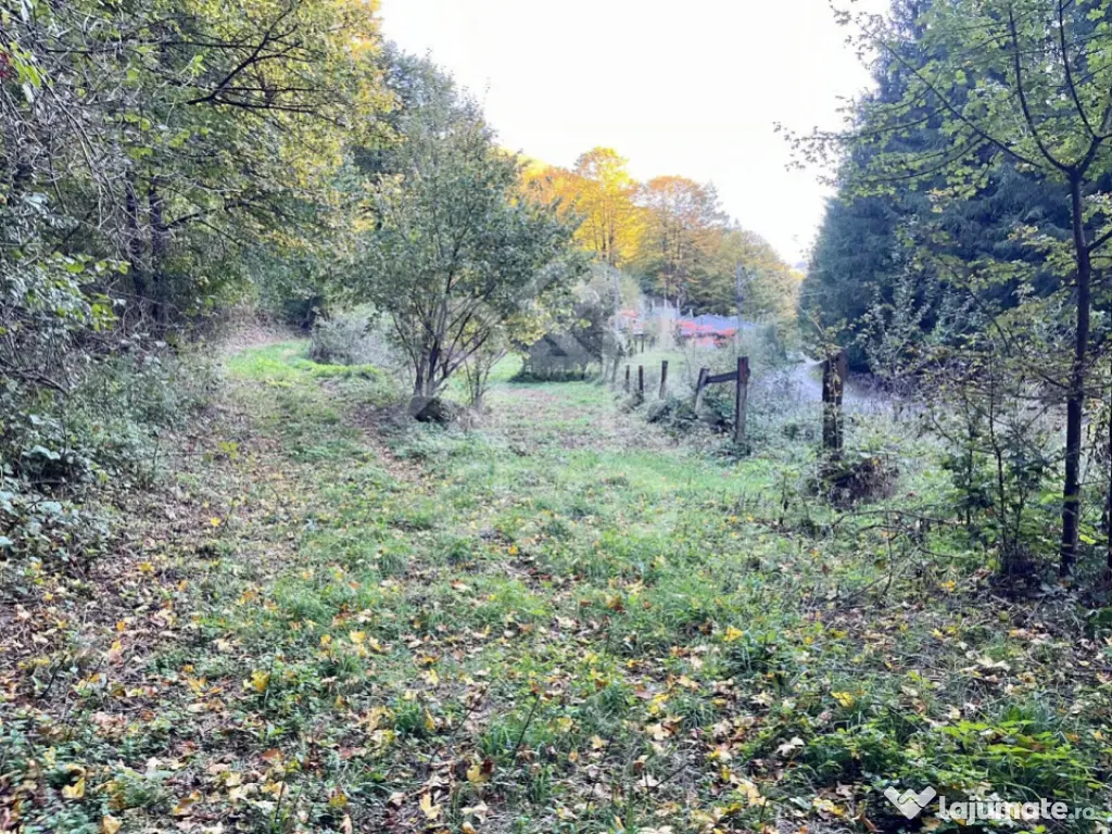 Teren pentru casa de vacanta pe Valea Bratcutei, Bihor 