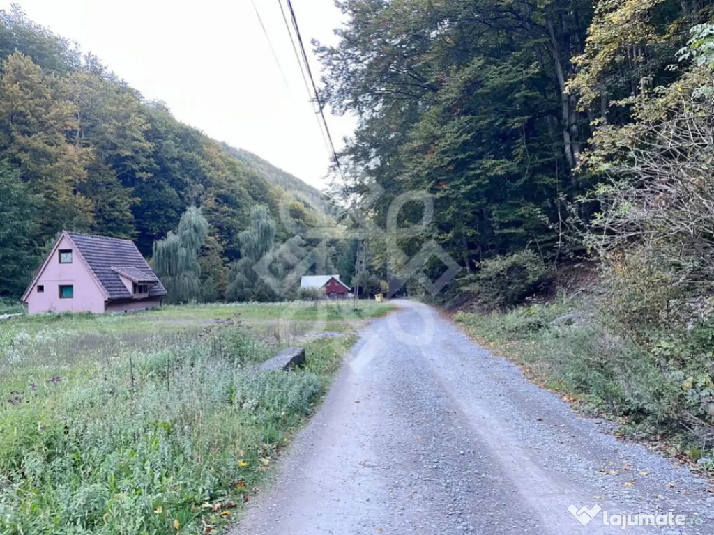 Teren pentru casa de vacanta pe Valea Bratcutei, Bihor 