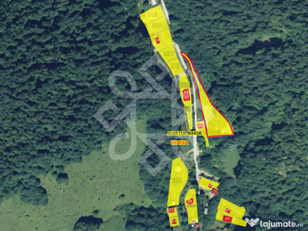 Teren pentru casa de vacanta pe Valea Bratcutei, Bihor 