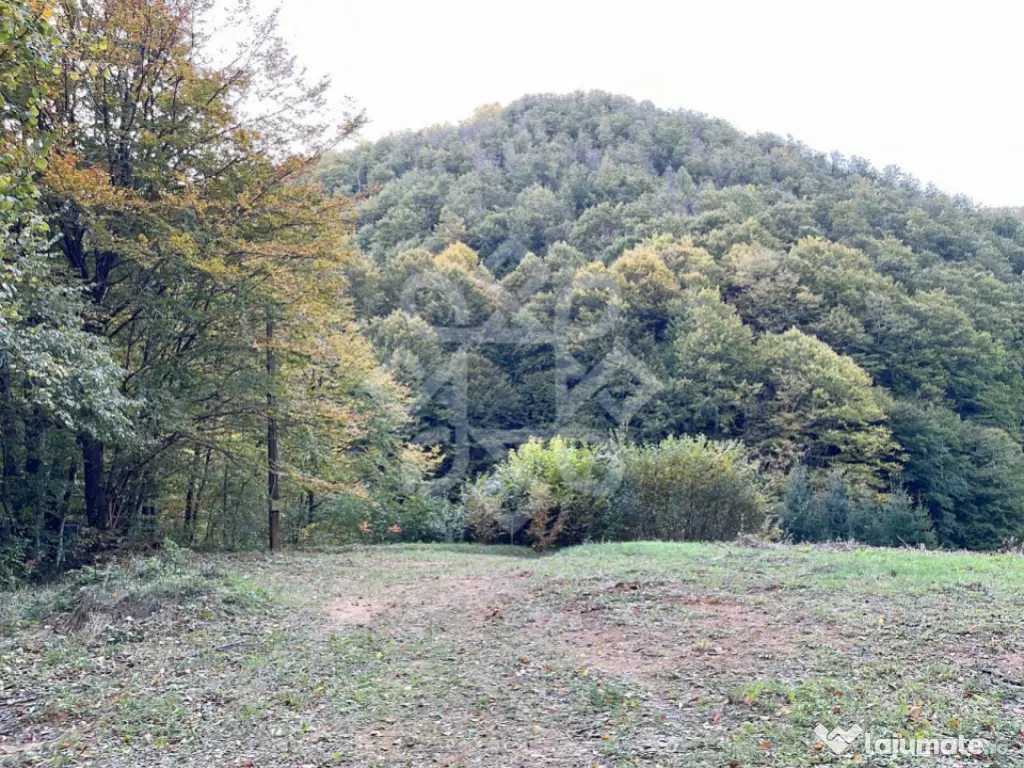 Teren pentru casa de vacanta pe Valea Bratcutei, Bihor 