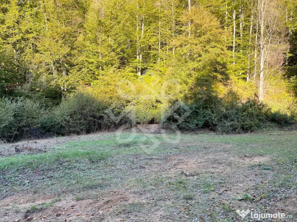 Teren pentru casa de vacanta pe Valea Bratcutei, Bihor 