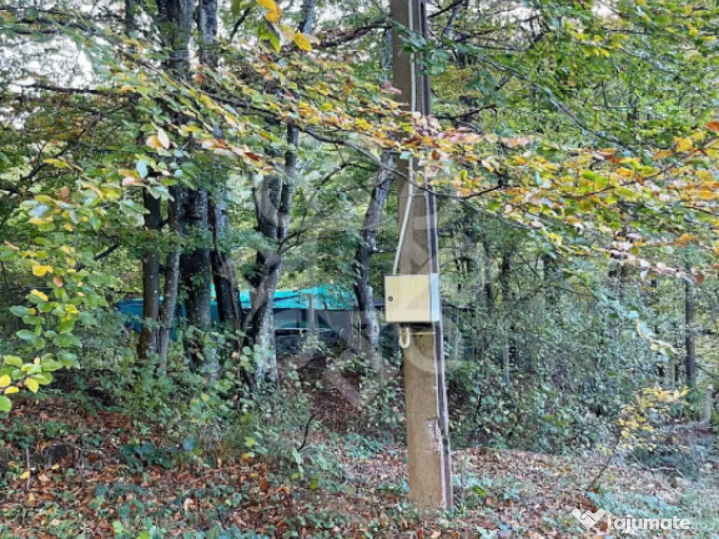 Teren pentru casa de vacanta pe Valea Bratcutei, Bihor 