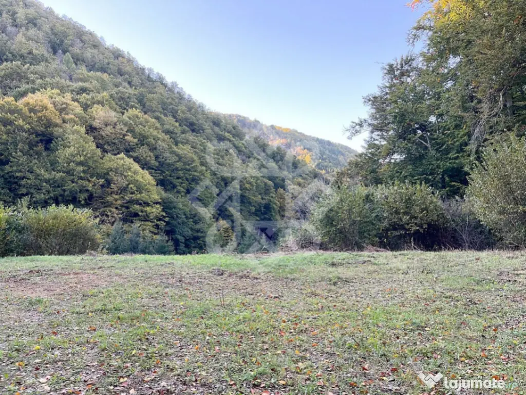 Teren pentru casa de vacanta pe Valea Bratcutei, Bihor 