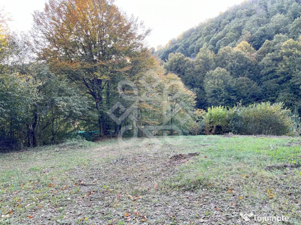 Teren pentru casa de vacanta pe Valea Bratcutei, Bihor 