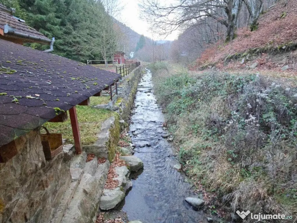 Casa/Pensiune,doua imobile „intr-unul singur” de vanzare, Valea Bratcu 