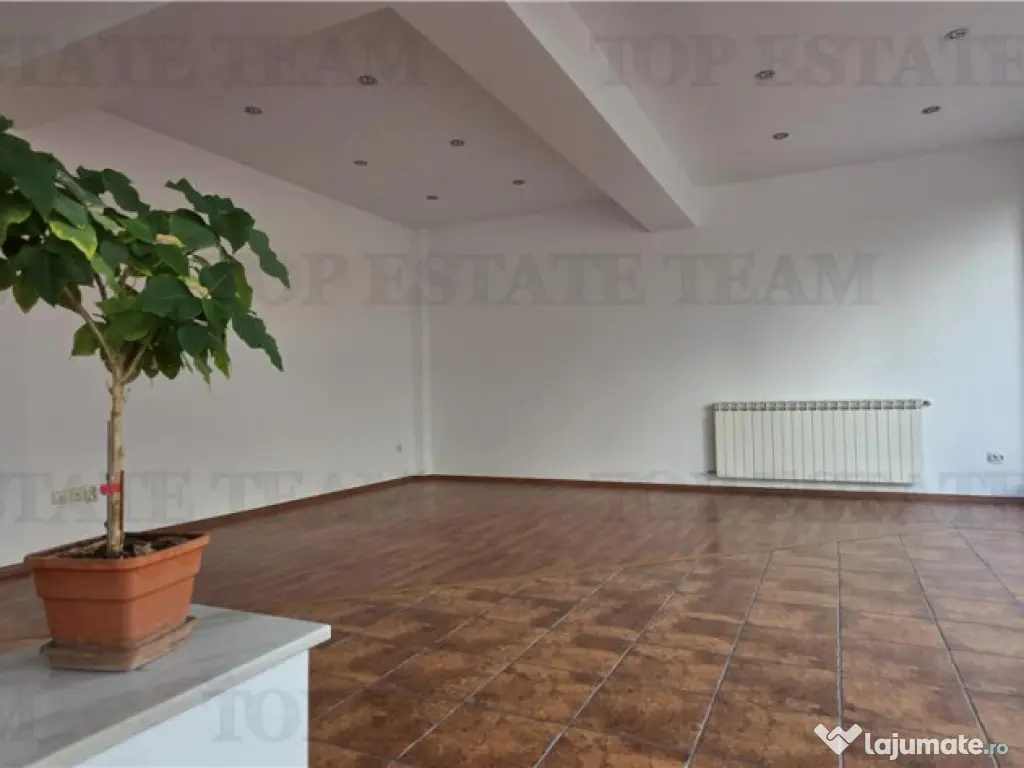 Vila 6 camere Ion Mihalache - Miciurin 