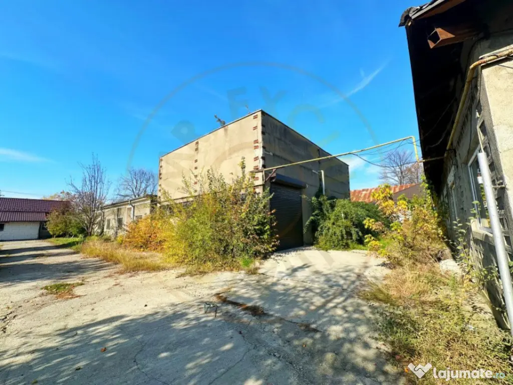 Proprietate industriala(teren + constructii)zona Vama Pitest 