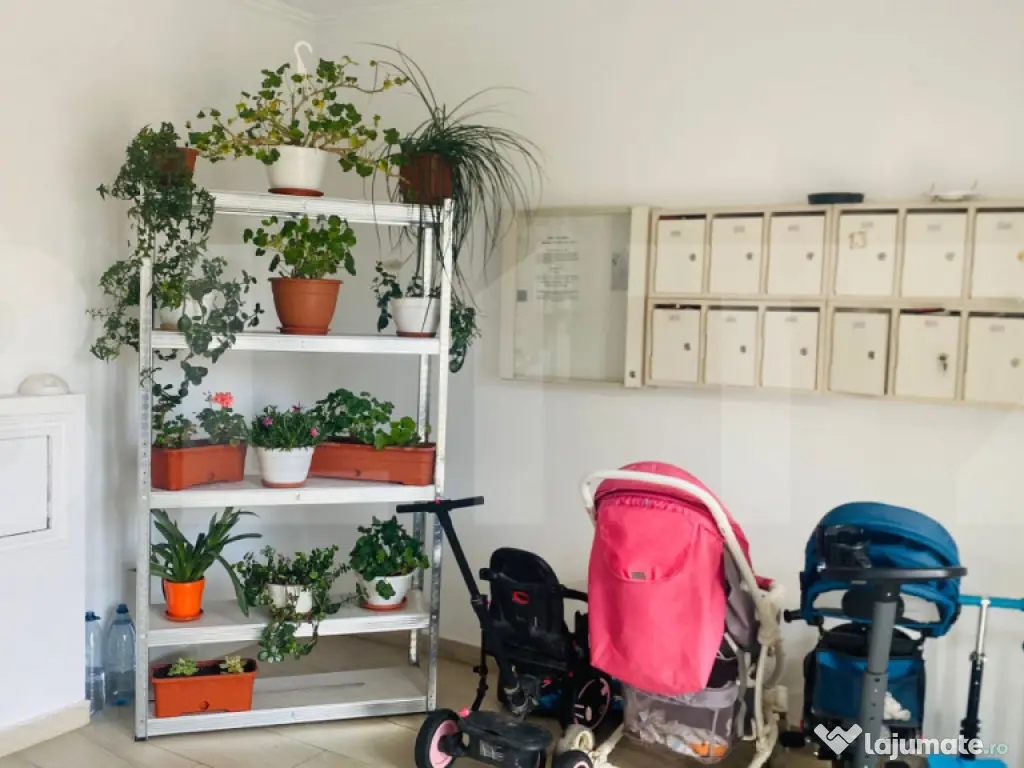 Braytim Premium | 3 Camere & Design Luminos | – Ready to m