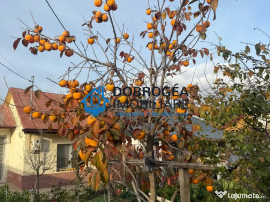 Caslita, casa + teren 800 mp , iesire la Lac 