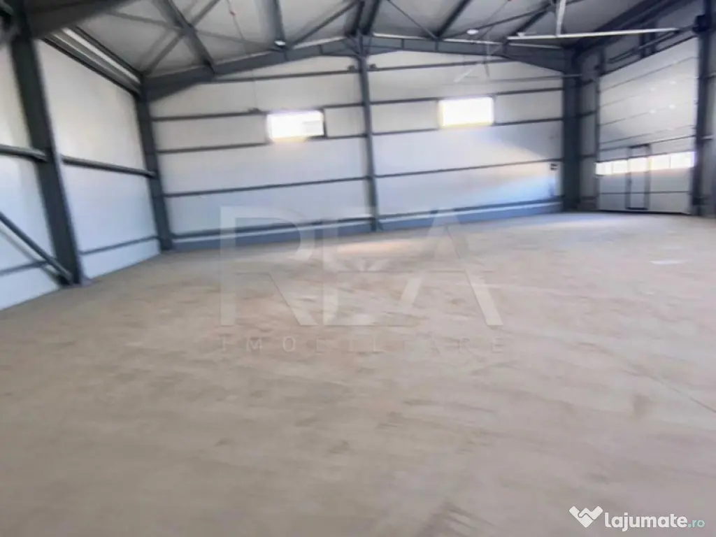 Hale noi de inchiriat Domnesti / Centura 