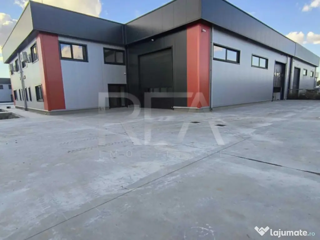 Hale noi de inchiriat Domnesti / Centura 