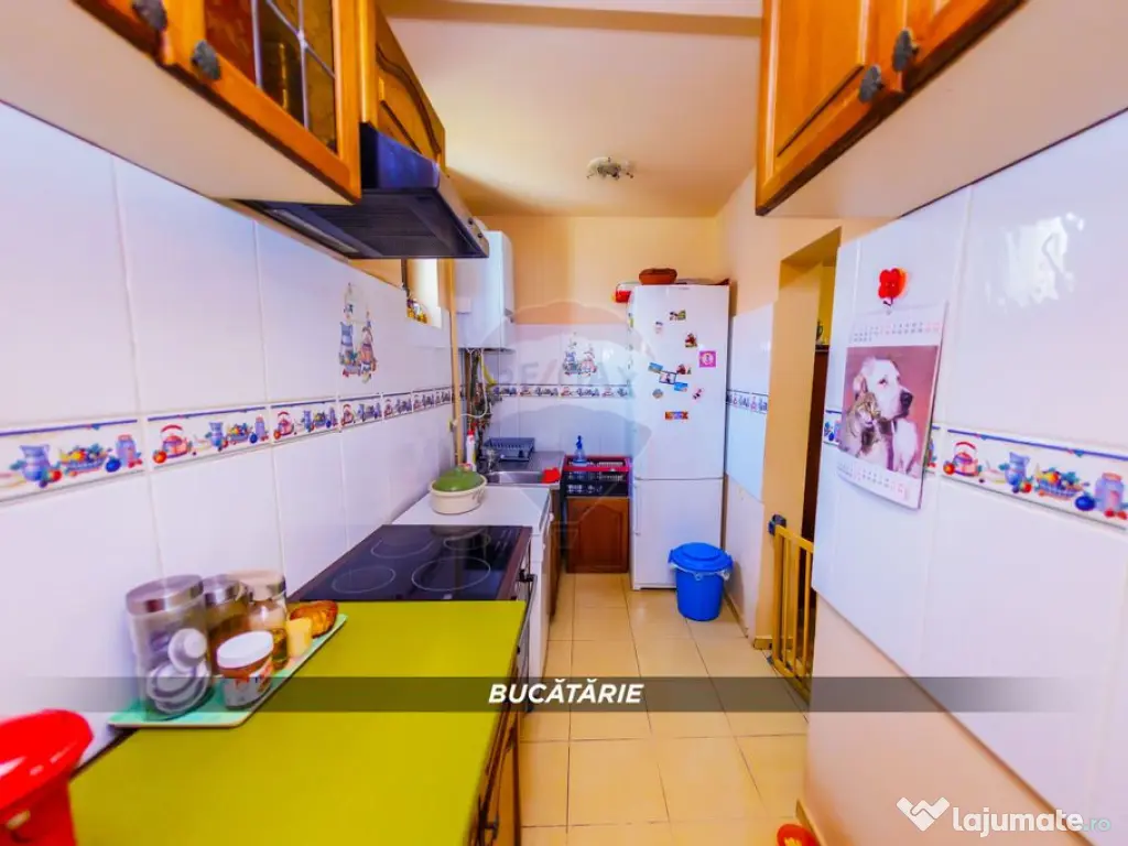 Casă P+1 din cărămidă, 683 mp teren, 4 garaje – Str...