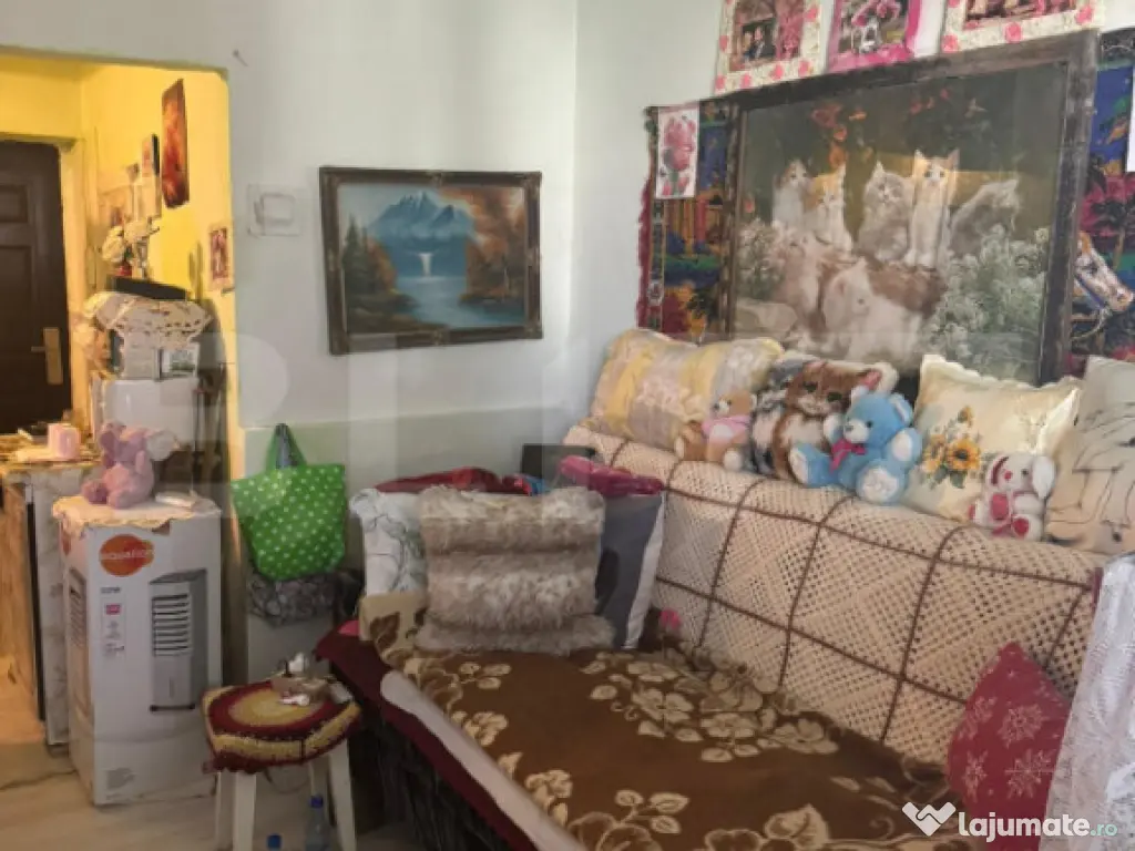 Garsoniera pe strada Gheorghe Doja