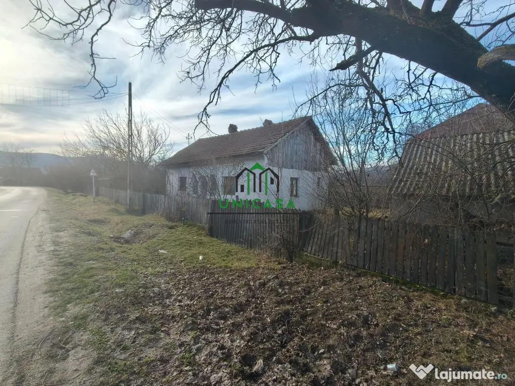 Teren Daesti / 814mp