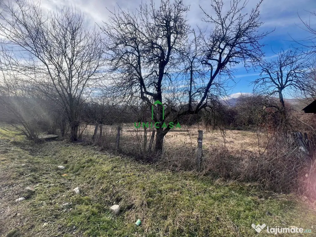 Teren Daesti / 814mp