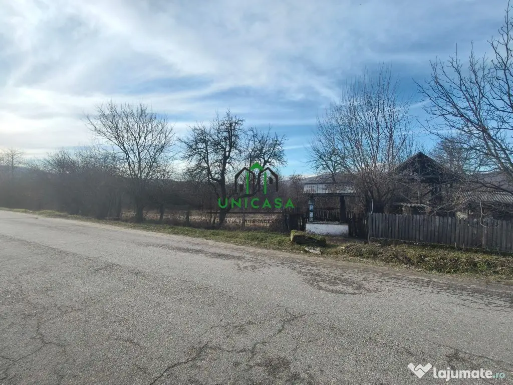 Teren Daesti / 814mp