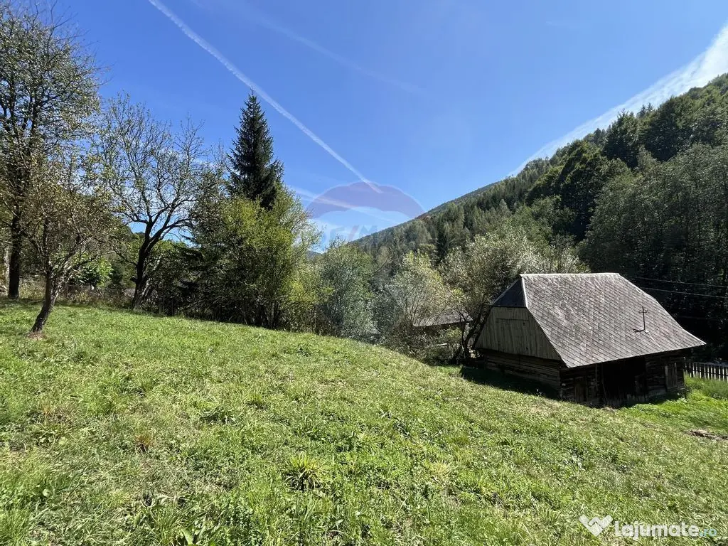 Teren de vanzare Rachitele | Investitie | Comision 0% 