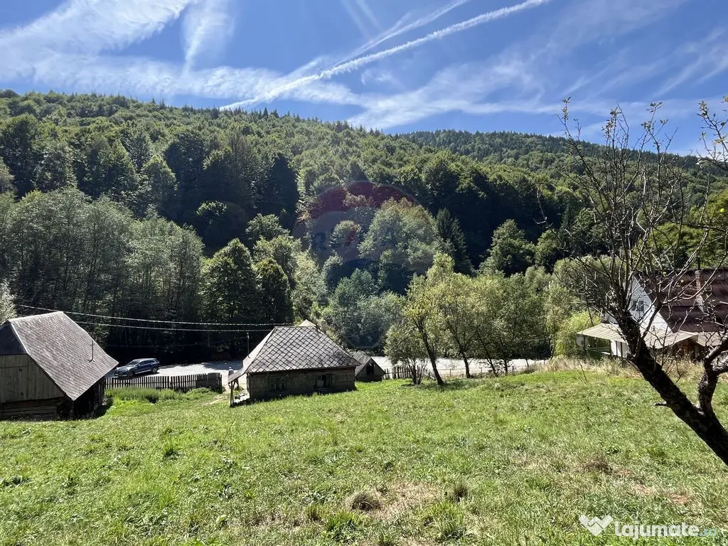 Teren de vanzare Rachitele | Investitie | Comision 0% 