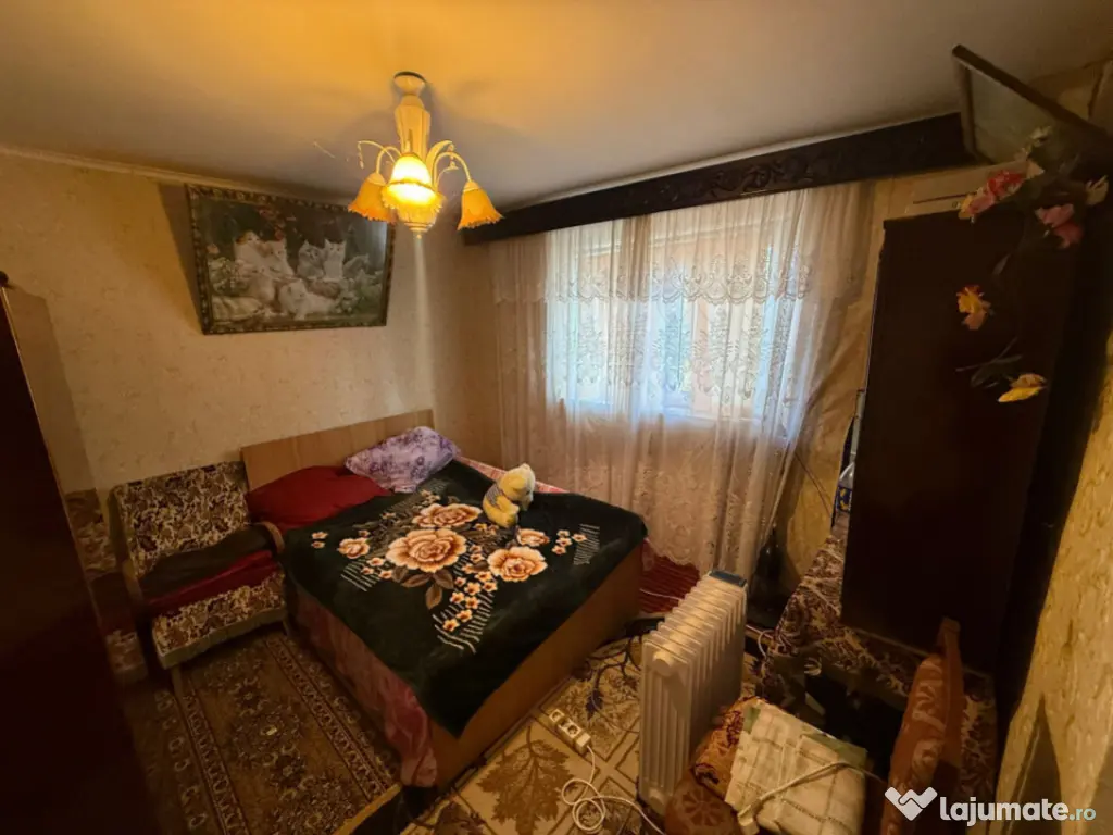 Somova, casa 2 corpuri, teren 4382 mp, garaj