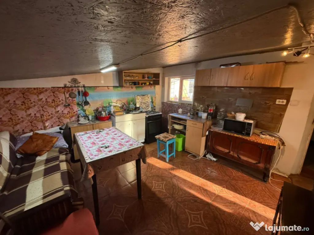 Somova, casa 2 corpuri, teren 4382 mp, garaj