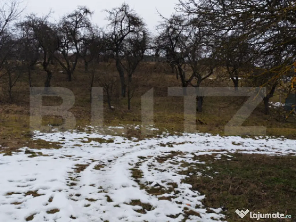 Teren intravilan în Mihai Viteazu, langa Turda, 2 parcele d